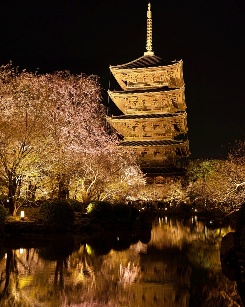 東寺　桜ライトアップ　五重塔