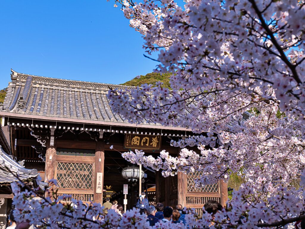 清水寺　桜と轟門