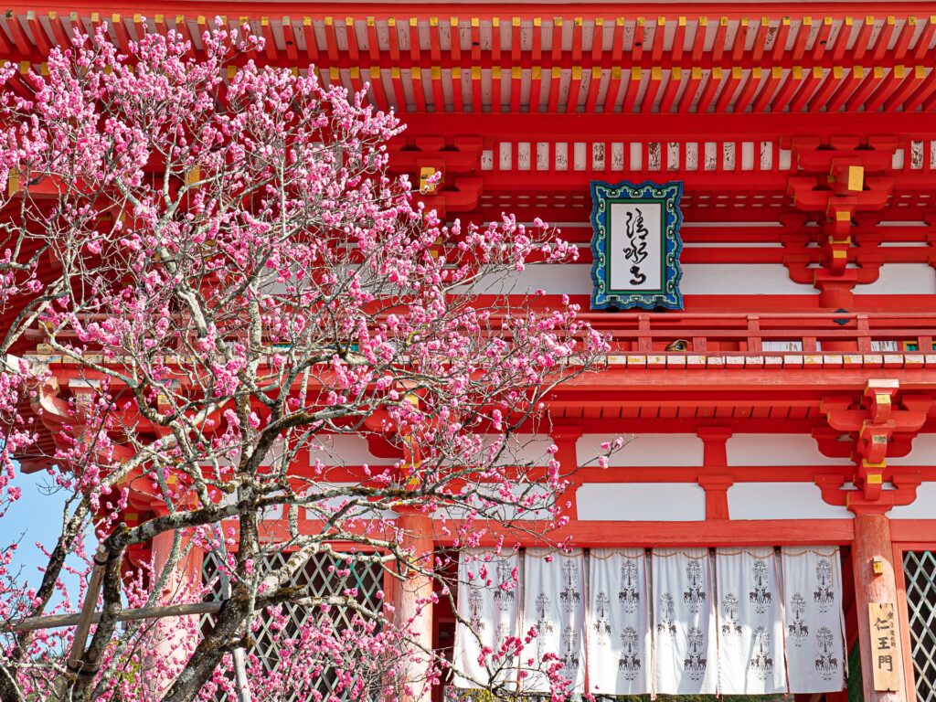 清水寺　仁王門　梅