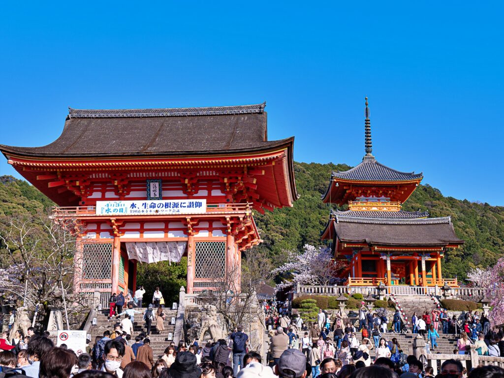 清水寺　広場　桜シーズン