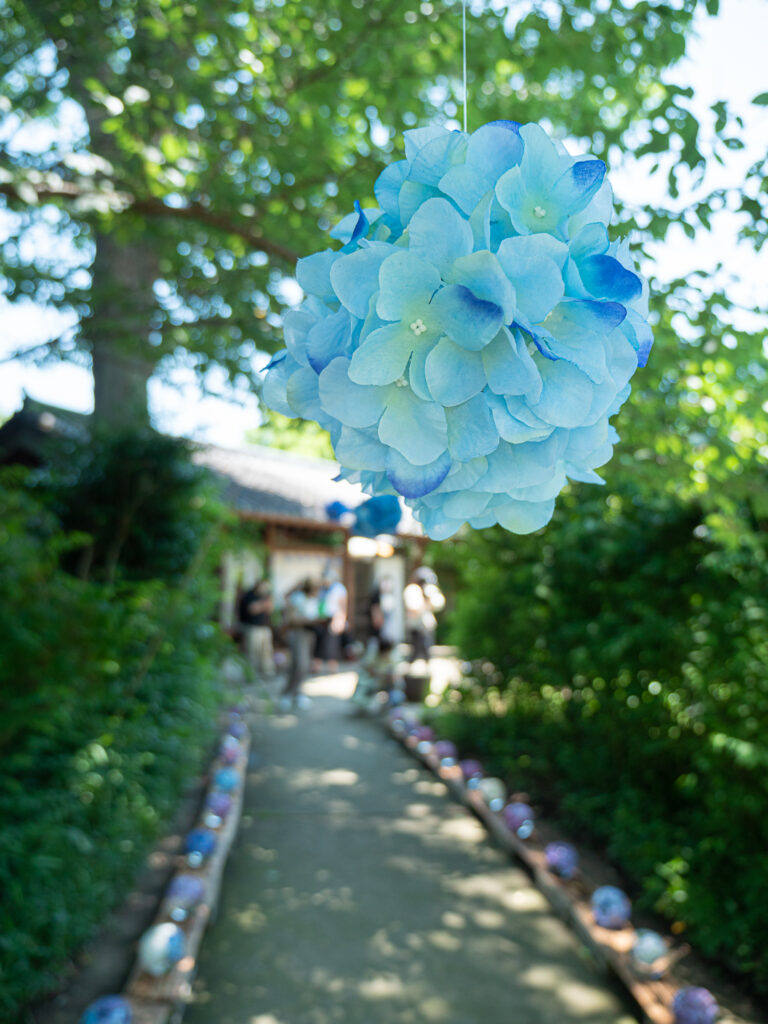 般若寺　アジサイの小径